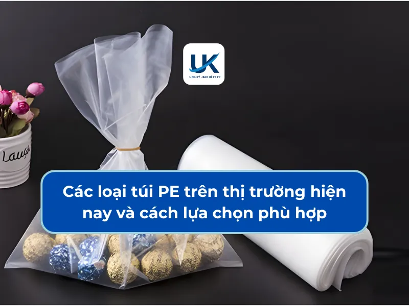 CÁC LOẠI TÚI PE TRÊN THỊ TRƯỜNG HIỆN NAY VÀ CÁCH LỰA CHỌN PHÙ HỢP